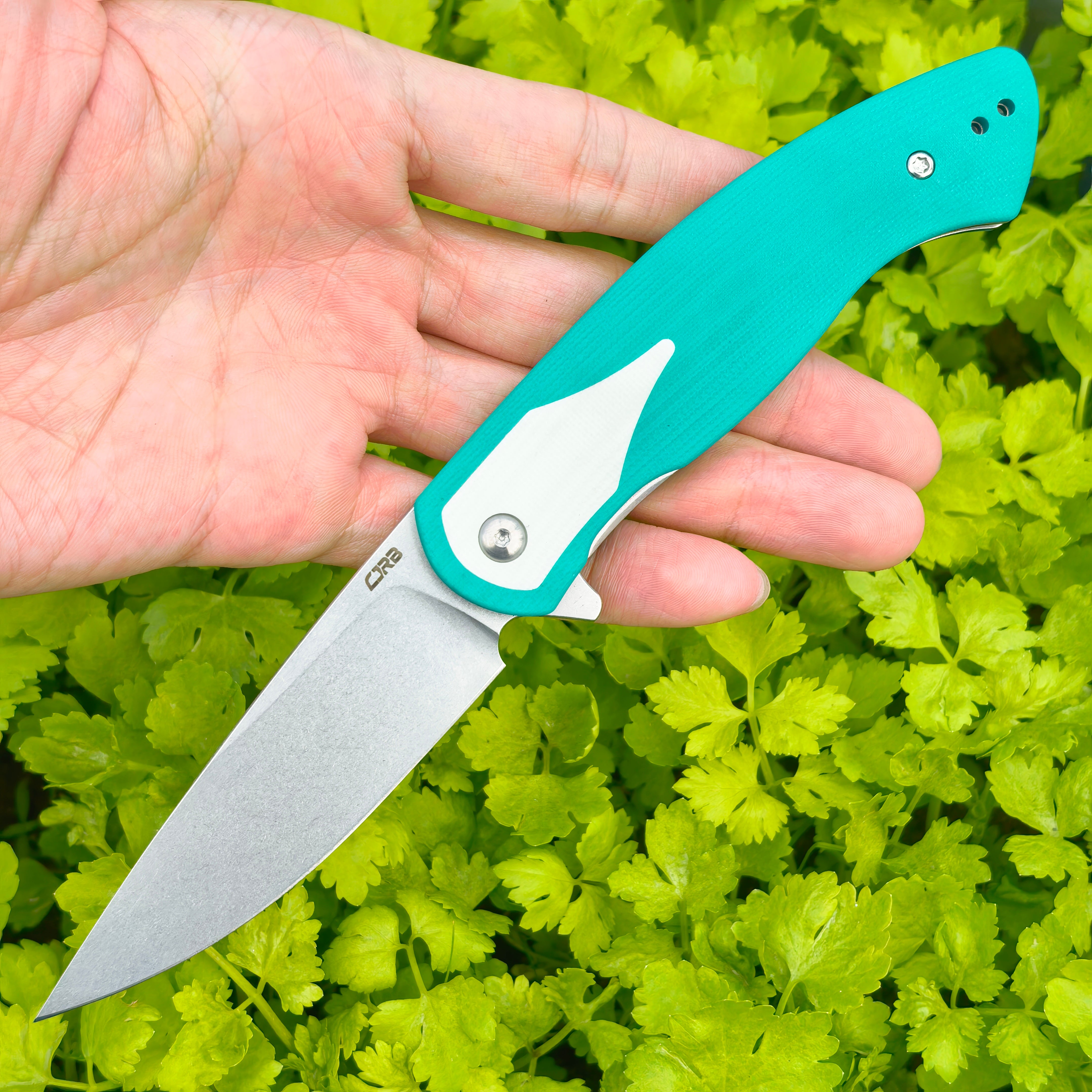 CJRB Rodayo Prototype J1972 knife detail