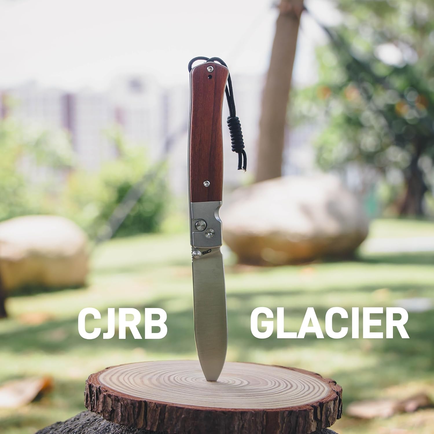 CJRB Glacier J1961 folding knife with steel and wood handle