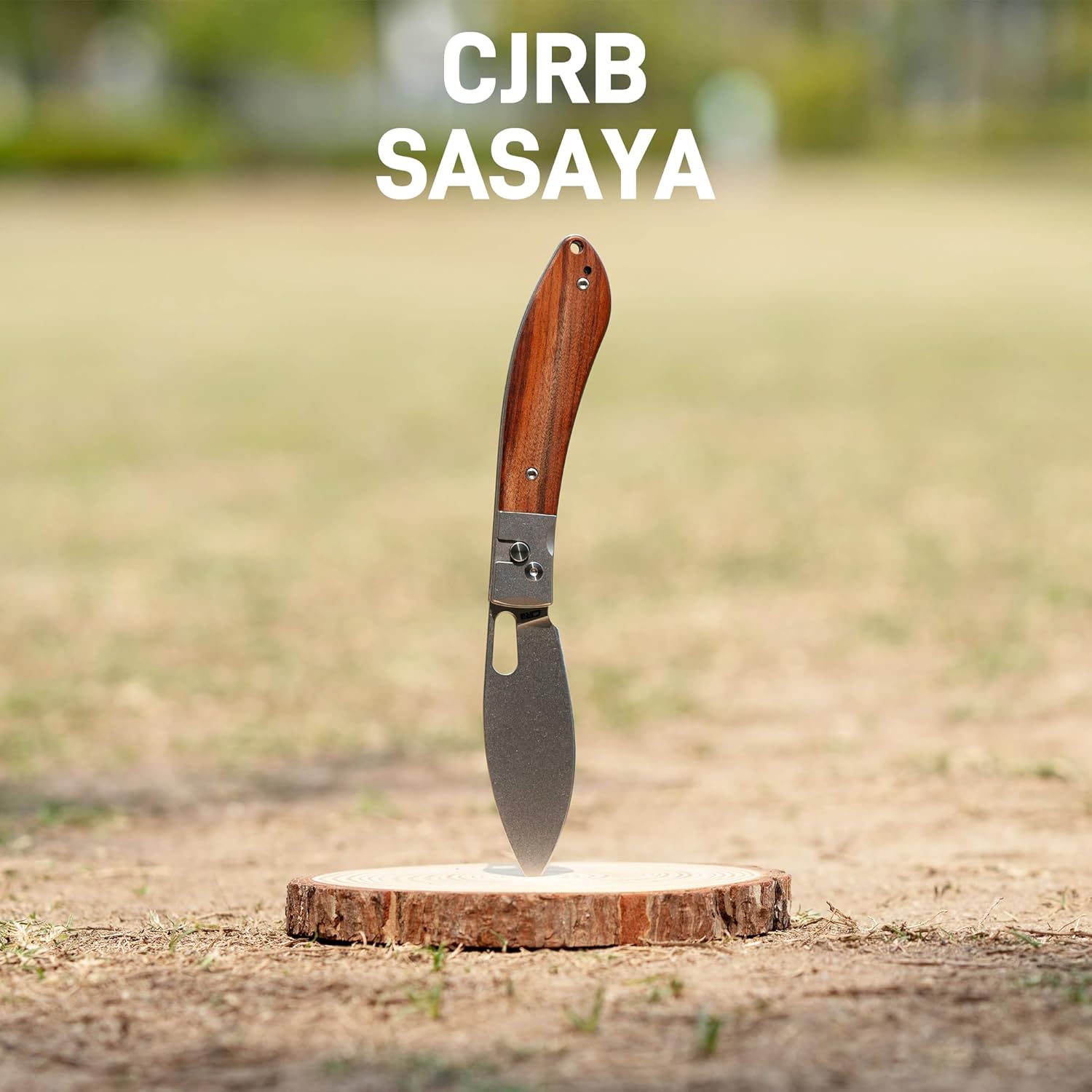 CJRB Sasaya J1959 folding knife side view