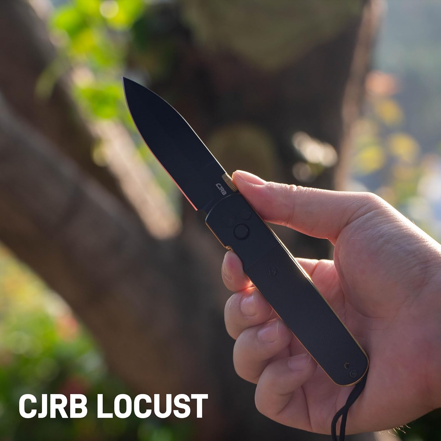 CJRB Locust J1951-BG knife detail
