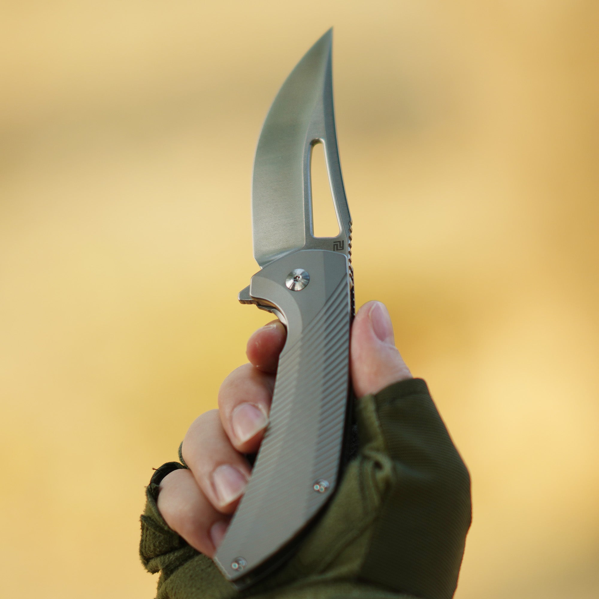 Artisan Cutlery Banjaara 1868G folding knife with titanium handle