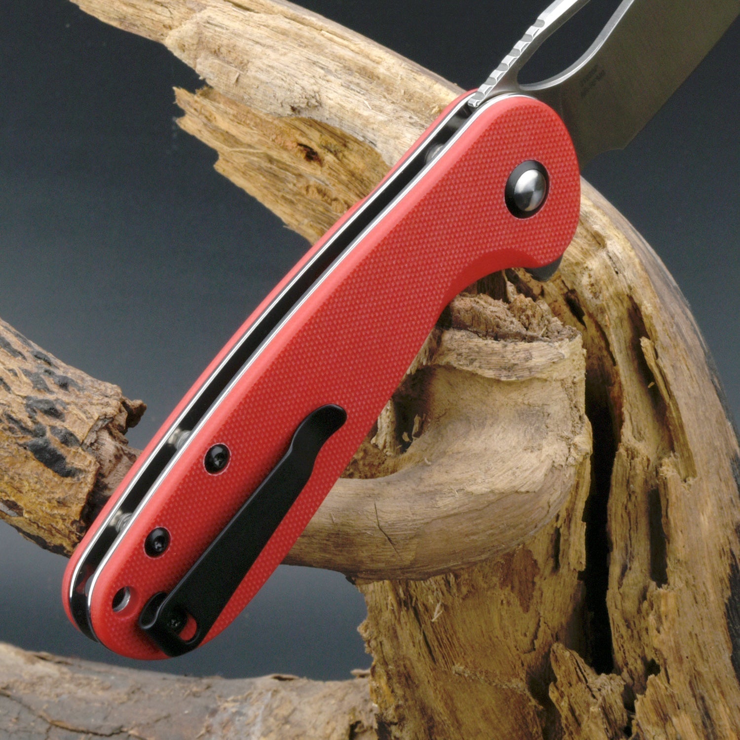 CJRB Lago J1926-RE folding knife side view