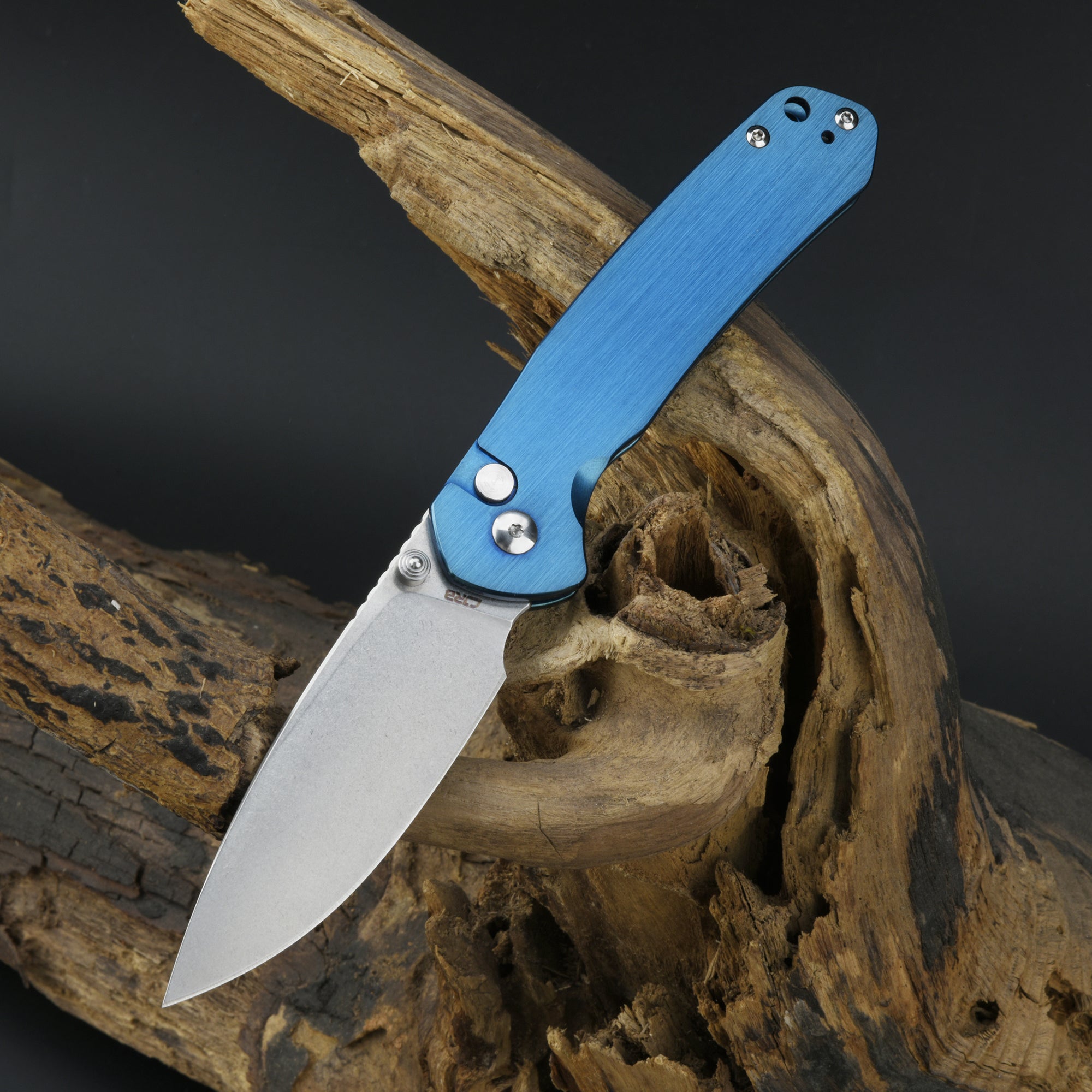 CJRB Pyrite J1925 Blue steel handle close-up